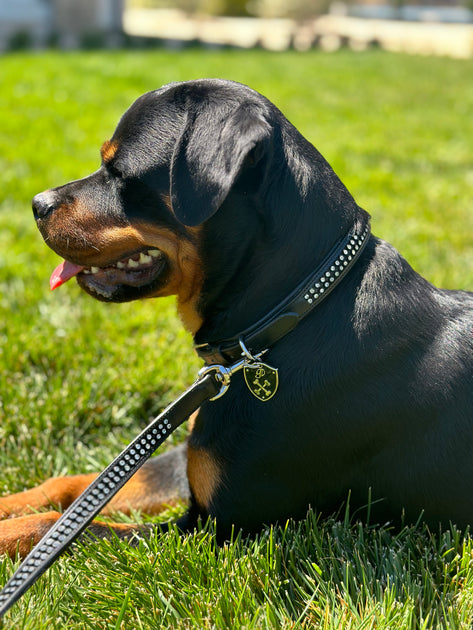 Accessories – Goode Rider